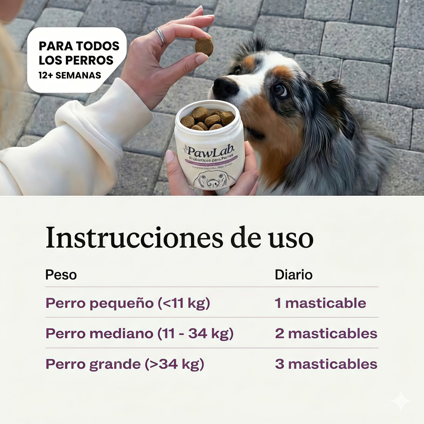 Aliviá el lamido y rascado de tu perro desde la raíz