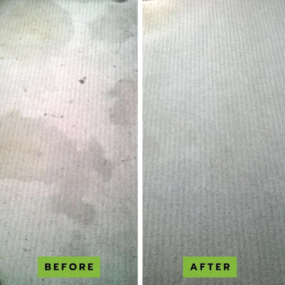 Eliminá el olor a orina de perro y gato desde la raíz