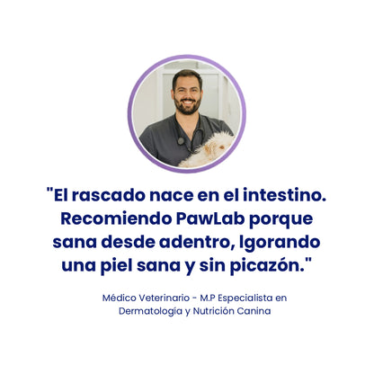 Aliviá el lamido y rascado de tu perro desde la raíz