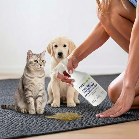 Eliminá el olor a orina de perro y gato desde la raíz