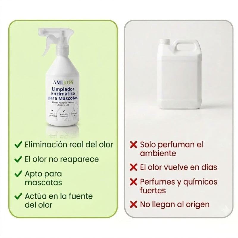 Eliminá el olor a orina de perro y gato desde la raíz