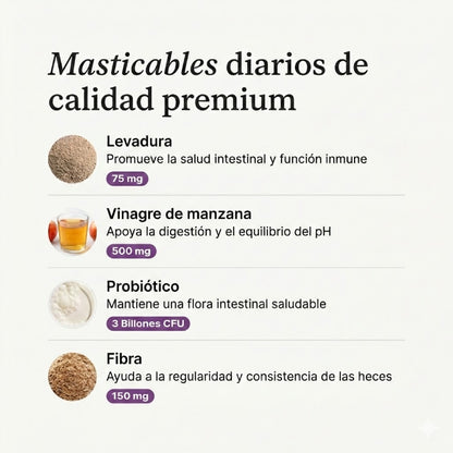 Aliviá el lamido y rascado de tu perro desde la raíz